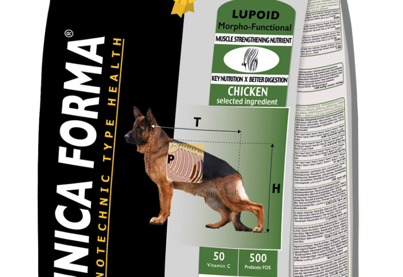 unica_forma_lupoid_adult_active_15kg.jpg