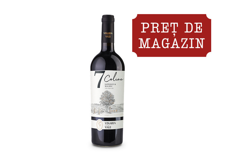 vinaria_din_vale_7_coline_-_saperavi_malbec_2022_rosu_sec.jpg